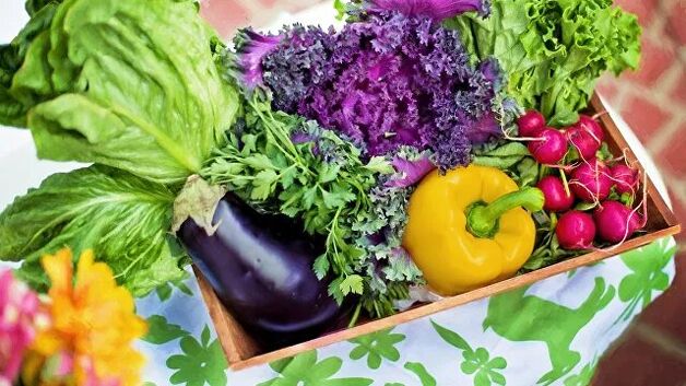 légumes et légumes verts dans le régime du régime Ducan